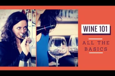 Wine 101: All The Basics