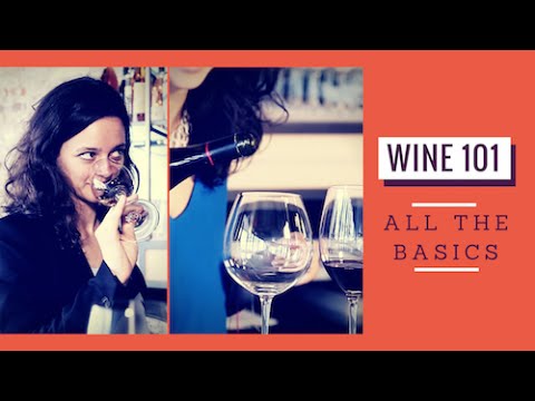 Wine 101: All The Basics Wine 101: All The Basics