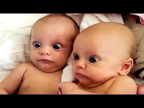 99 % Lose this TRY NOT TO LAUGH Challenge – Funniest Babies Vines 99 % Lose this TRY NOT TO LAUGH Challenge - Funniest Babies Vines