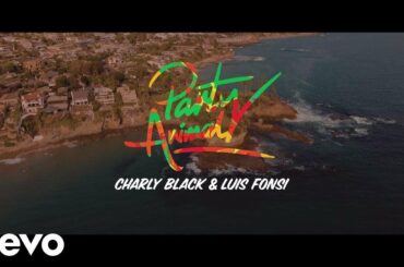 Charly Black, Luis Fonsi - Party Animal