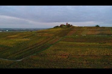 Woodland wonders: Autumn in France's Champagne region