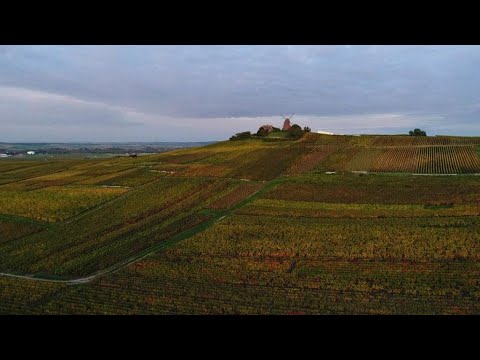 Woodland wonders: Autumn in France's Champagne region Woodland wonders: Autumn in France's Champagne region