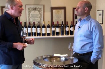 Mastering Bordeaux Wines: Right Bank vs  Left Bank Soils