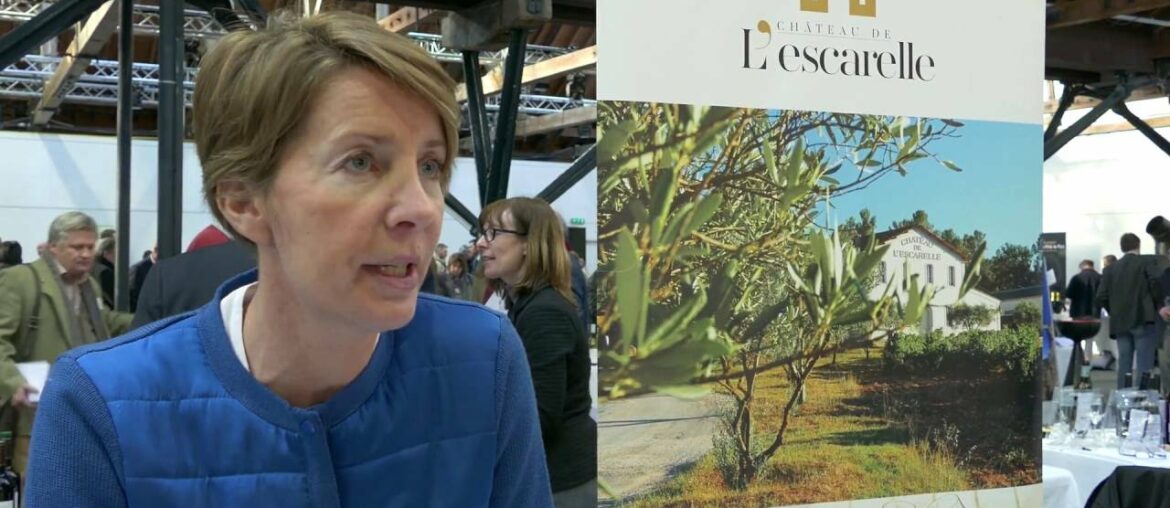 French Wine Discoveries London 2016 – Part 1 French Wine Discoveries London 2016 - Part 1