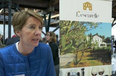 French Wine Discoveries  London 2016  -  Part 1
