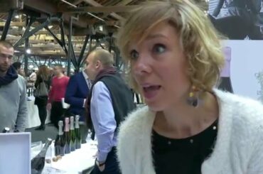 French Wine Discoveries London 2016 -  Part 2