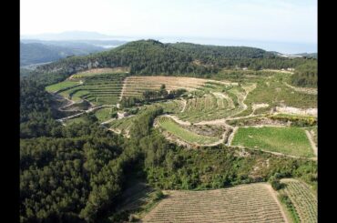Discovering Provence wines from Bandol region at Chateau de Pibarnon estate. Obiwine