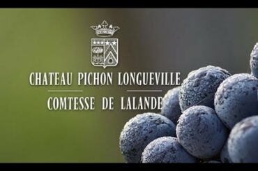 Château Pichon-Longueville Comtesse de Lalande Pronunciation - Best of 1855 Bordeaux Wine