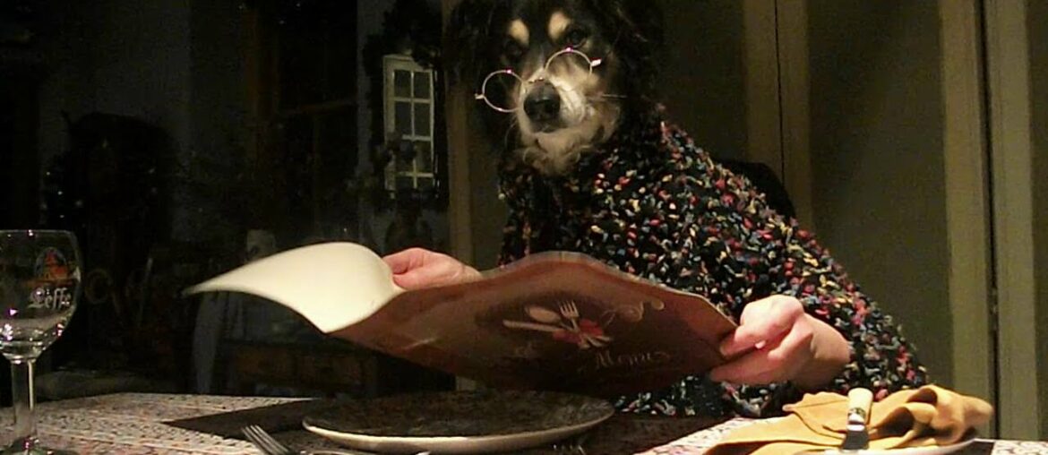 Dinner for Two - (dogs dining)