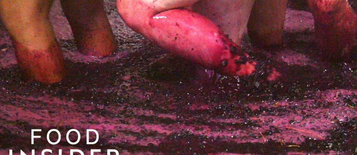 Why Port Wine Is Made By Stomping Grapes | Regional Eats Why Port Wine Is Made By Stomping Grapes | Regional Eats