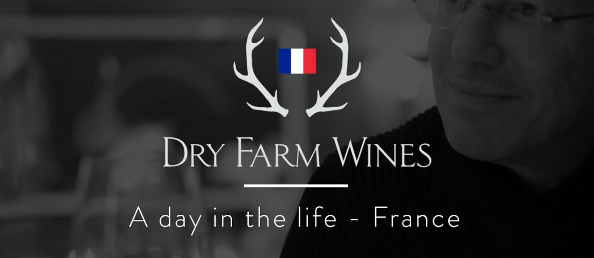 Dry Farm Wines: A Day in the Life  France