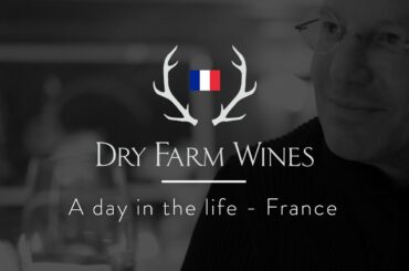 Dry Farm Wines: A Day in the Life  France