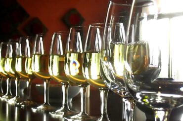 Wine tour in Sancerre, Loire: Visiting Henri Bourgeois Sancerre