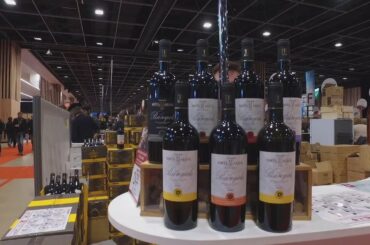 Wine lovers rush to France's independent winemakers fair