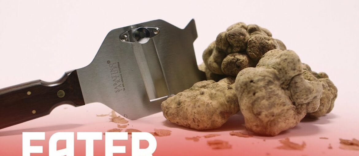 Why Chefs are Obsessed with White Truffles, the Cocaine of the Dining World Why Chefs are Obsessed with White Truffles, the Cocaine of the Dining World