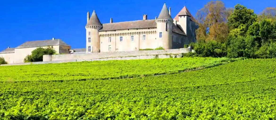 French Wine May Have Roots in Italy French Wine May Have Roots in Italy