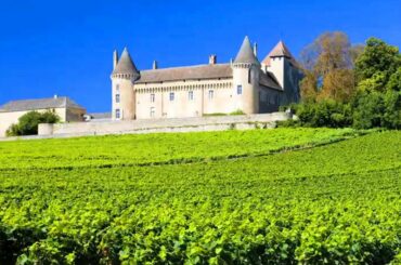 French Wine May Have Roots in Italy