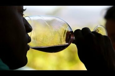 Why Climate Change Means Better French Wine ... At Least For Now - Newsy