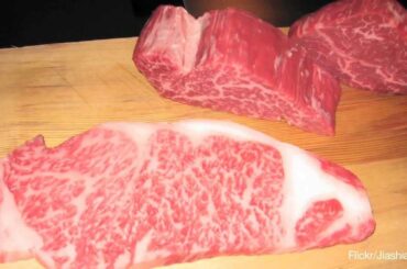 French Cows Fed Fine Wine