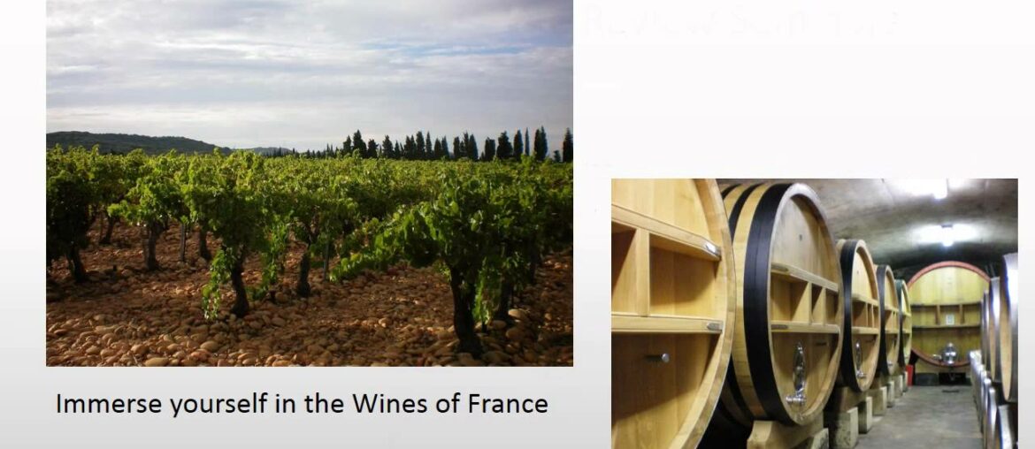 French Wine Scholar Certification Program