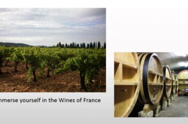 French Wine Scholar Certification Program