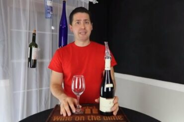 French Wine in Texas? 2015 Coteaux Bourgogne Wine Review