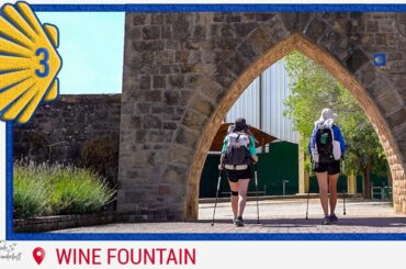 Episode 3: FOR THE WINE (Camino de Santiago 2019)
