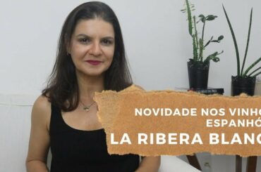 Ribera del Duero terá Vinhos Brancos na safra 2019! | Marcia Anholeti