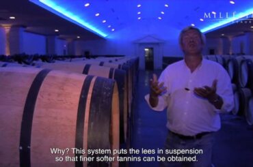 Chateau Lascombes' Wines (subtitles) - Bordeaux - Millesima
