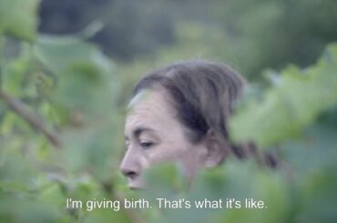 Wine Calling / Wine Calling - Le Vin se lève (2018) - Trailer (English Subs)