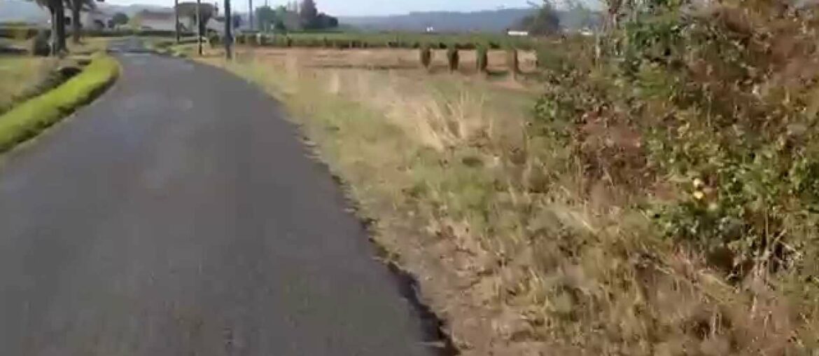 Cycling through wine country, St Emilion, Bordeaux, France