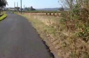 Cycling through wine country, St Emilion, Bordeaux, France