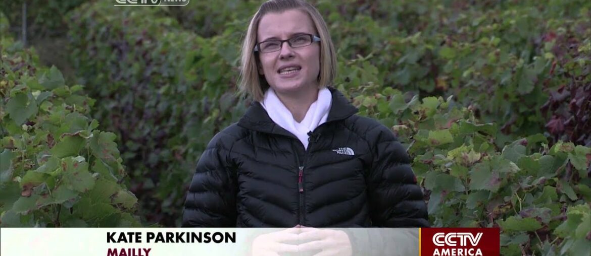 Bad Weather hits France's Wine Industry