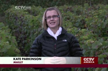 Bad Weather hits France's Wine Industry