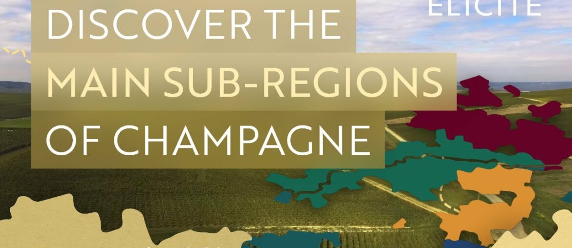 The Sub-Regions Of The Champagne Wine Region In France