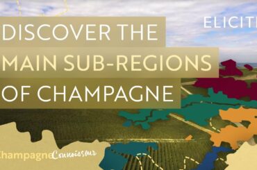 The Sub-Regions Of The Champagne Wine Region In France
