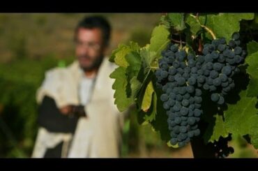 The Earliest French Wine Came From Italy, 2,500 Years Ago
