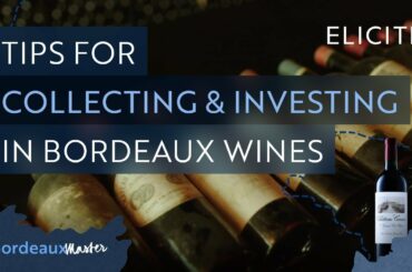 Tips For Collecting And Investing In Bordeaux Wine
