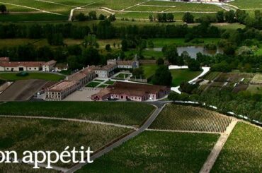 How a Rare French Wine Dominated the Chinese Market | Red Obsession