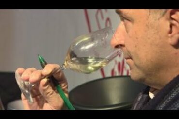 French wine producers aim to grow sales with Paris event