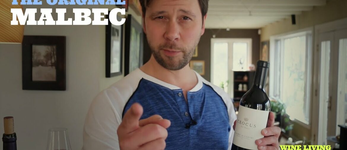 The Best Red Wine for Beginners: French Malbec