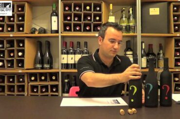 Ep. 5 - Degustazione: Gavi vs French white wines
