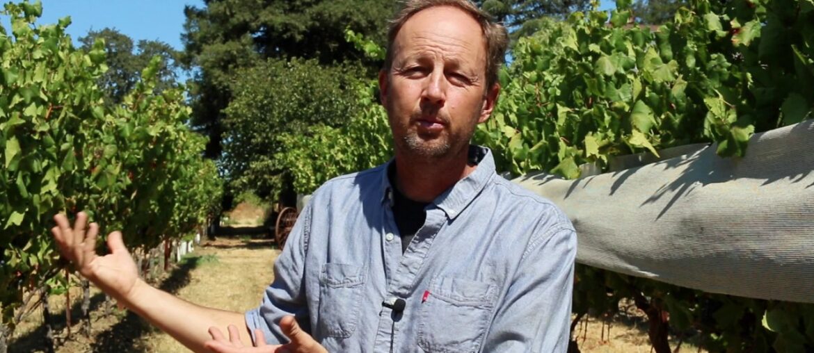 The different wine varieties of Napa, beyond Cab: Steve Matthiasson interview The different wine varieties of Napa, beyond Cab: Steve Matthiasson interview