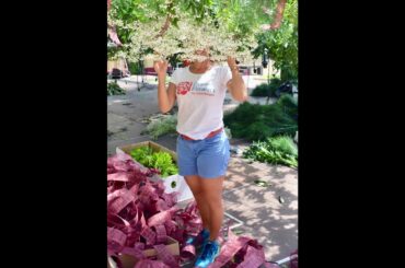 Behind the scenes - Prince Albert II from Monaco, in the Madeira Wine Fraternity - 2018