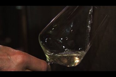 France's Hugel family: 300 years of wine-making