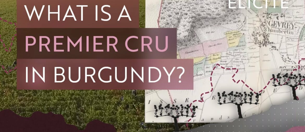 Defining A Burgundy Premier Cru Wine Defining A Burgundy Premier Cru Wine