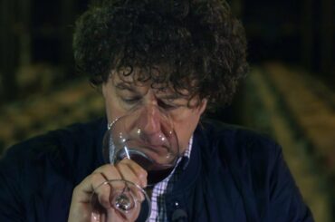 France's Côte-d'Or: A wine lover's paradise in a world heritage site