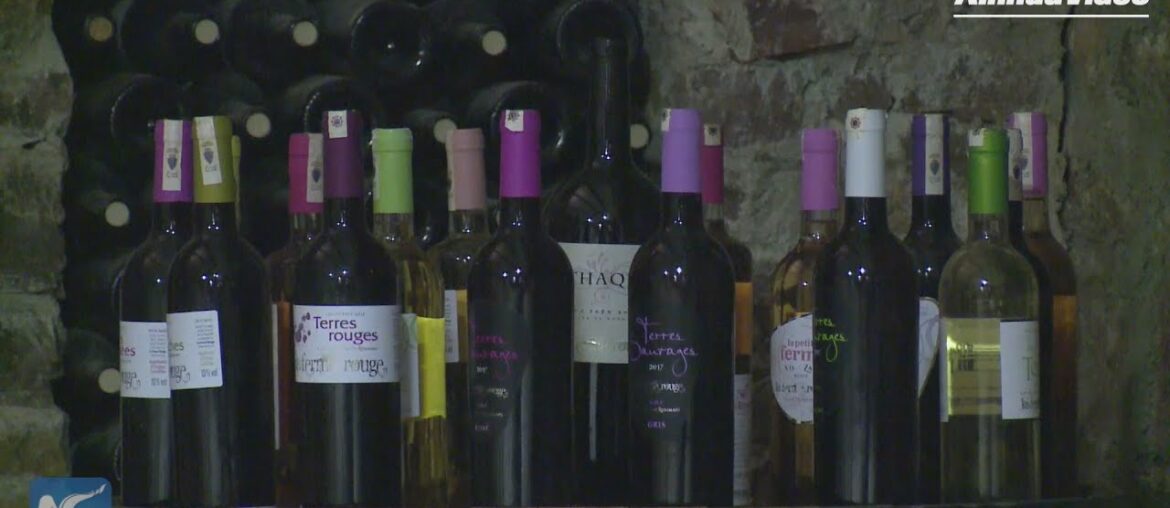 Moroccan winery to expand Chinese market via 2nd CIIE