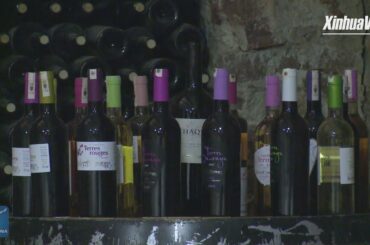 Moroccan winery to expand Chinese market via 2nd CIIE