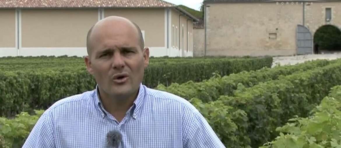 Chateau Ormes de Pez''s Wines (subtitles) – Bordeaux – Millesima Chateau Ormes de Pez''s Wines (subtitles) - Bordeaux - Millesima